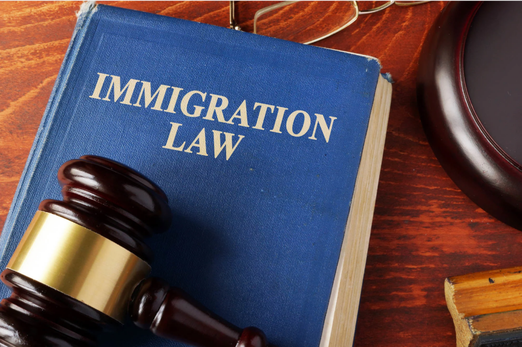 IMMIGRATION